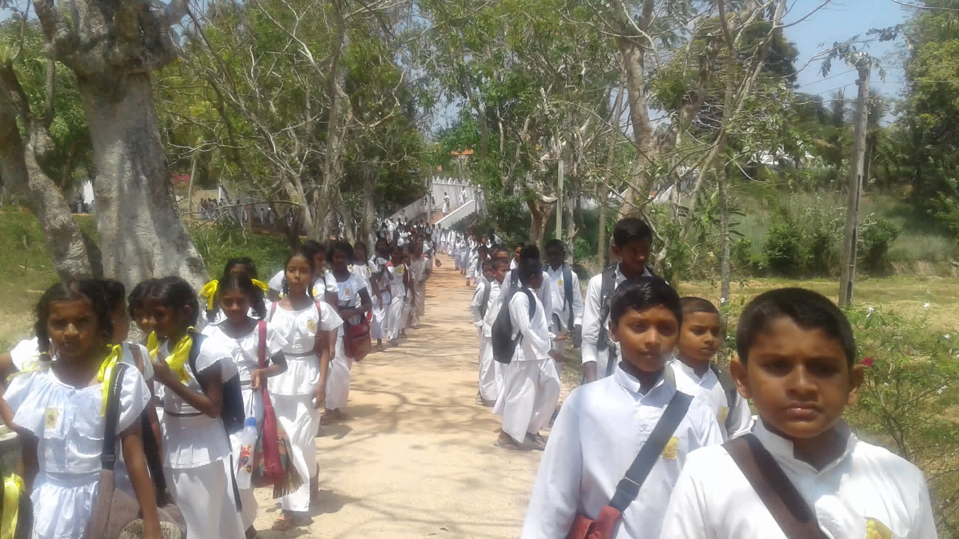 Dhamma School Image